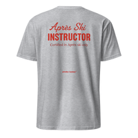 Après Ski Instructor T-Shirt in Sport Grey, back print