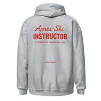 Après Ski Instructor Hoodie in Sport Grey, back print